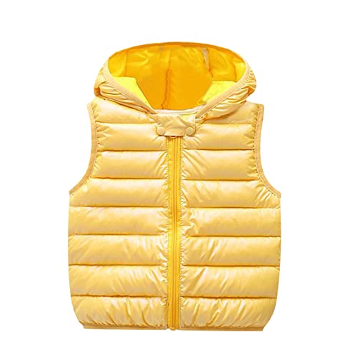 Toddler Winter Down Coat Bear Ears Hoods Jacket Sleeveless Cute Lightweight Soft Warm Zipper Outerwear Tops Clothing