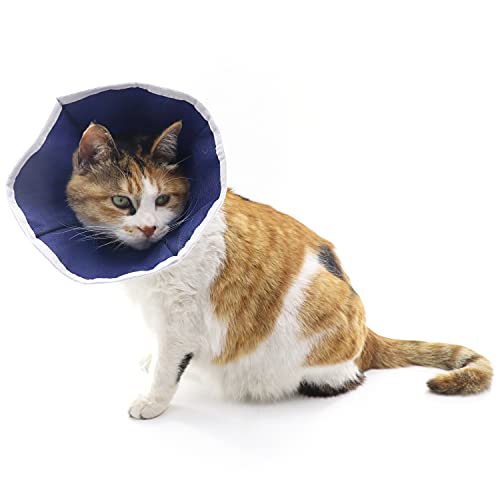 Top 10 Best Cat Cone Soft Top Picks 2023 Reviews