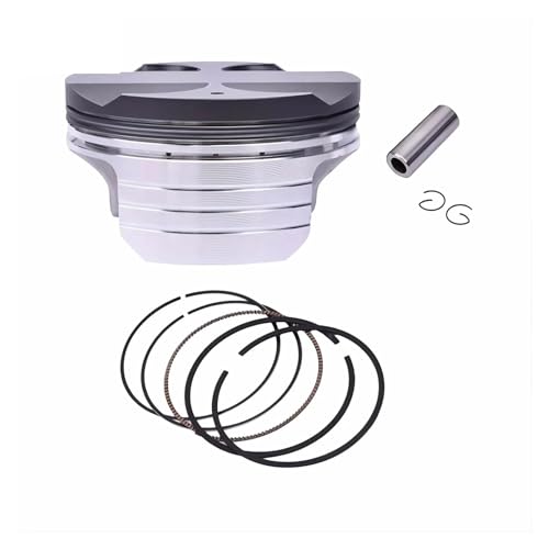 �I�[�g�o�C�̃G���W���s�X�g�������O 75 �~�����[�g��? 76 �~�����[�g�� STD ? +100 C-BR900RR C-BR954RR C-BR1000RR CB1000R C-BF1000(1set STD)