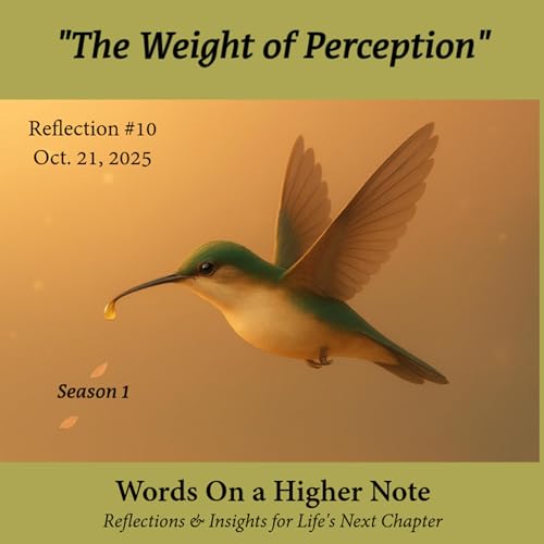The Weight of Perception Podcast Por  arte de portada