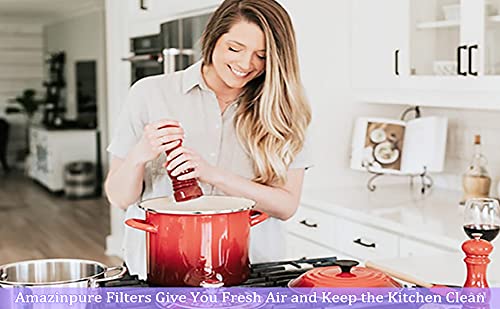 Amazinpure 2 Pack Range Hood Filter 97007696 Aluminum Charcoal Combo Compatible With Oem Part# Whirlpool W10355450 Broan Nutone 6105C 41F 413023 41000 46000 11000 4341999 4378581 (8.75 X 10.5) In #TOP7