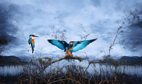Kingfisher toile oiseau phénix poster ailes déployées 58x90cm