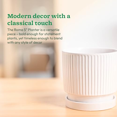 Image of UGAOO Roma Ceramic Pot |Indoor Ceramic Planter for Home, Office, Garden, Balcony - White (5 Inch)