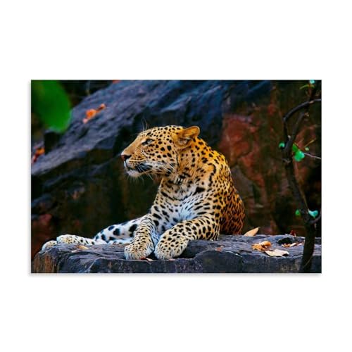 Póster de leopardo en las rocas en lienzo para pared, un elegante diseño decorativo de 40x60 cm