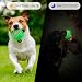 QKURT 4 Stück Glow Ball, Glow In The Dark Hundeball, Leuchtende Gummi-Hundebälle mit hoher Sprungkraft, Interaktive Hund Ball, Hundeball Spielzeug leuchtet im Dunklen