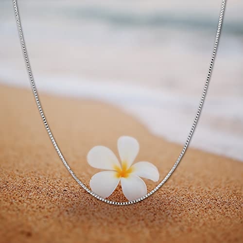 Honolulu Jewelry Company 14K Thin Real Solid White Gold 0.5Mm Box Chain Necklace Spring-Ring Clasp - 18 Inches #TOP4