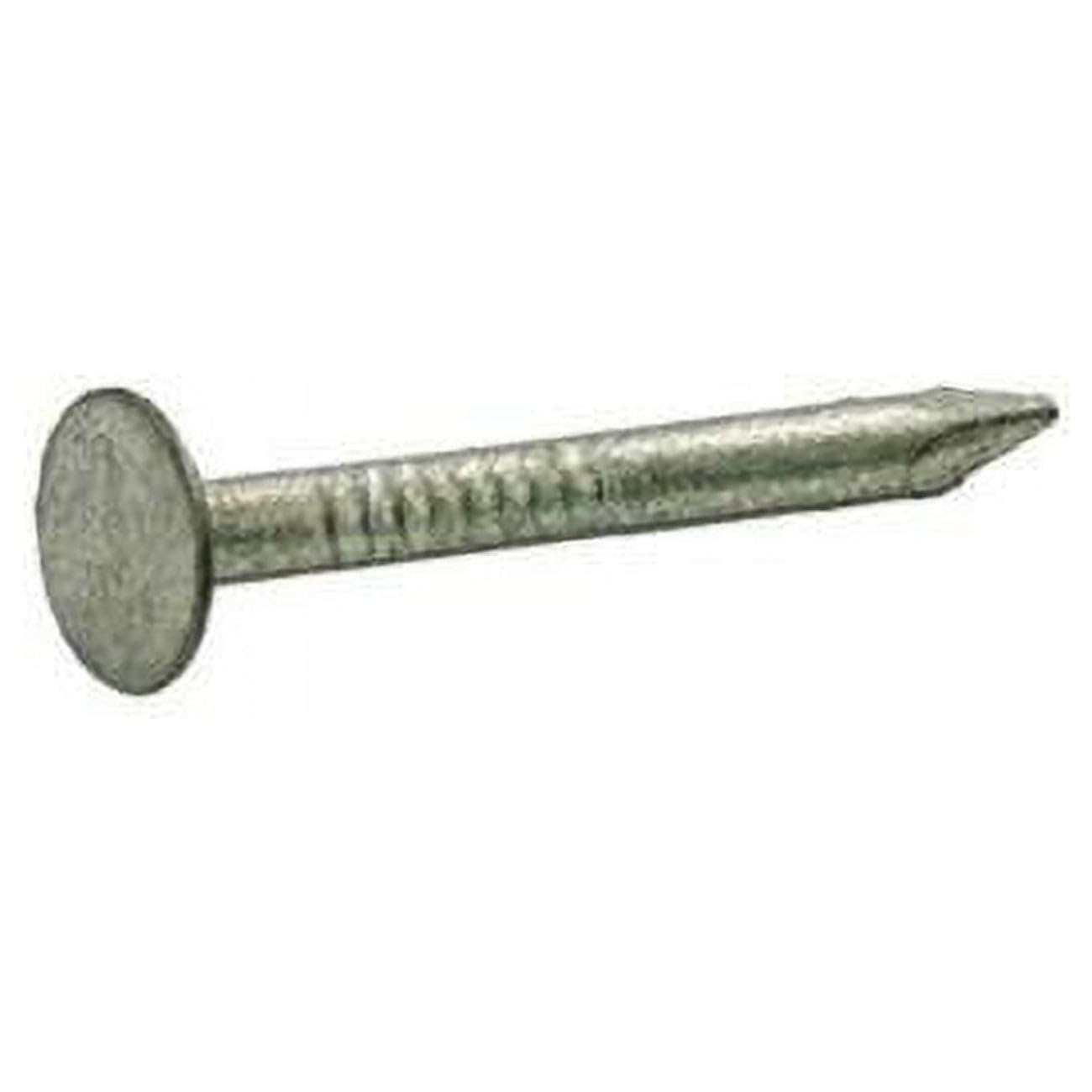 1 lbs 2 in. Roofing Hot-Dipped Galvanized Steel Nail with Smooth Shank Flat - Pack of 12