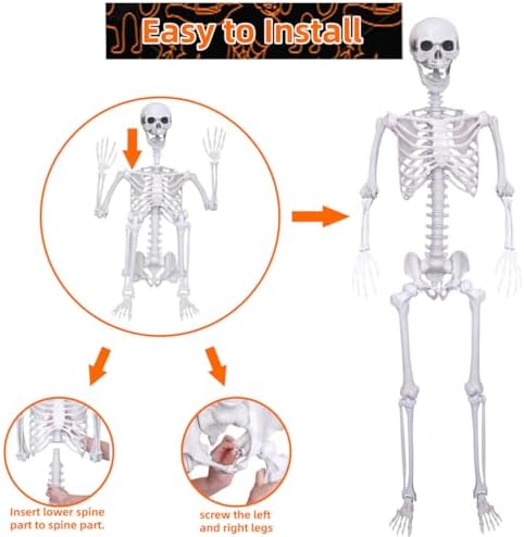 41DyCy7LI3L._AC_ Life-Size Skeletons 59 Inch 2 Pieces Moving Skeleton Full Body Size Realistic Human Bones with Movable Joints for Indoor Outdoor Halloween Decoration (2, White)