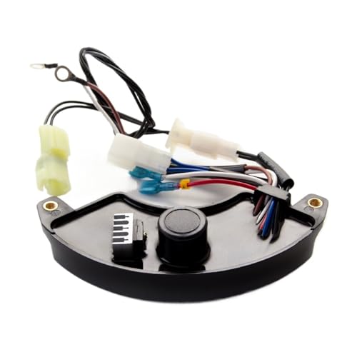 MMKBLRDI Regulador de Voltaje automático AVR de 5 kW, rectificador, Piezas for generador de Gasolina monofásico de 8 Cables.