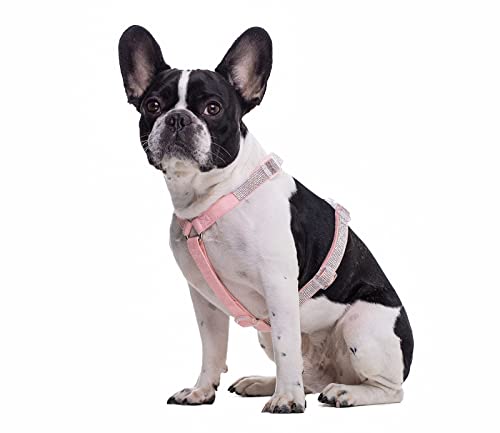 BT Bear Hundegeschirr, glitzernde Strasssteine, verstellbar, sichere Schnalle, Haustiergeschirr für Katzen, kleine Hunde, mittelgroße Hunde (Rosa, S)