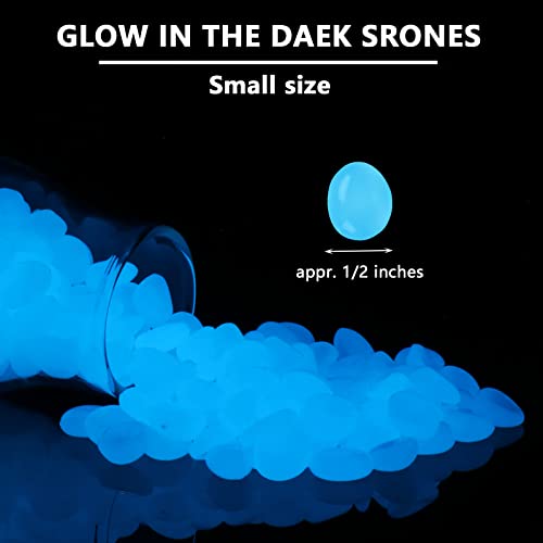 Glow In The Dark Rocks Outdoor Decorative Stones, 1000 Pcs Small Blue Fish Tank Rocks Glow In The Dark Pebbles For Garden Walkway Fish Tank Aquarium Planter Vase Filler #TOP3