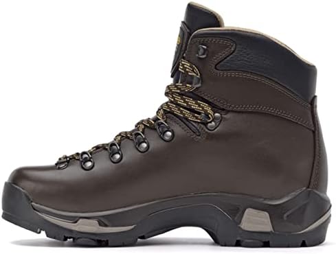 Asolo Men's TPS 520 GV EVO Long Distance, Backpacking, Trekking, Technical Terrian Hiking Boots (Chestnut, 13)