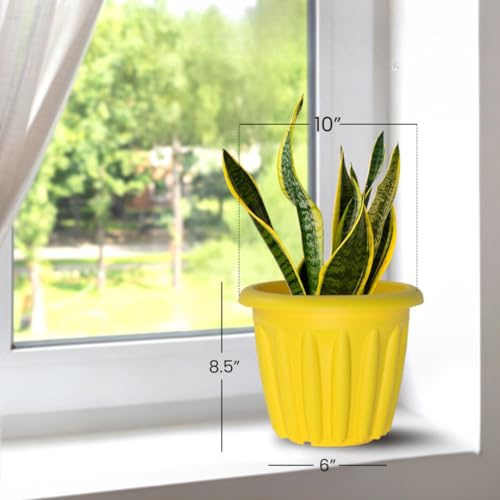 Image of YUCCABE ITALIA SHERA Floot 10 Inch Plastic Flower Pot 3 Piece Set of Round Shape Planter for Home Garden Seedling Planter for pots (Yellow)