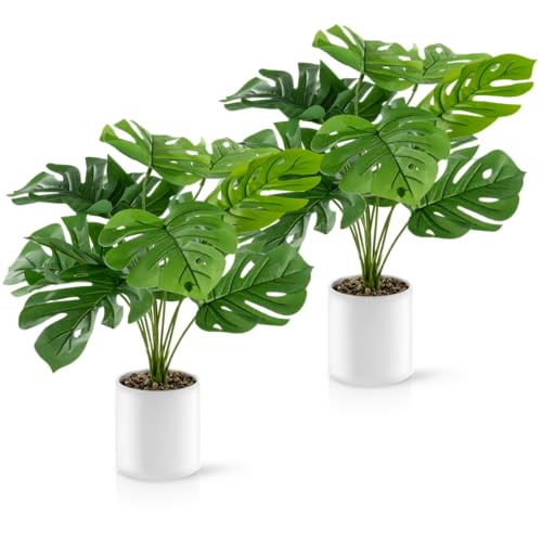 Per le nostre piante artificiali rinunciamo volutamente ai vasi di plastica economici, perché solo grazie ai vasi in ceramica eleganti le piante in vaso hanno un aspetto naturale ed elegante. Il bianco brillante dei vasi esalta armoniosamente i colori verdi delle piante d'arte e delle palme artificiali