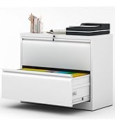Reegang 2 Drawer Lateral File Cabinet with Lock, White Metal Storage File Cabinet for Home Office...