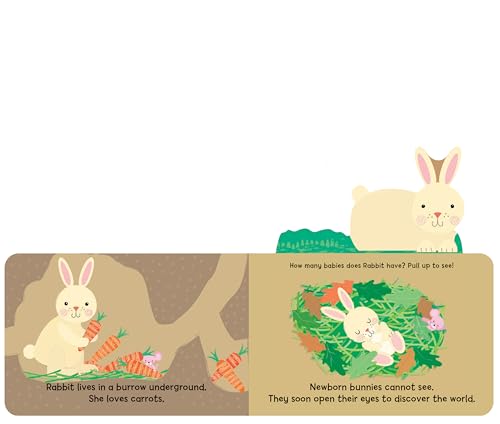 image for Woodland Babies: An Interactive Pull-Tab, Seek-and-Find Adventure for 