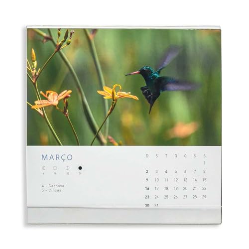 CALENDÁRIO 2025 DI CAVALCANTI MESA TECA PAPELARIA