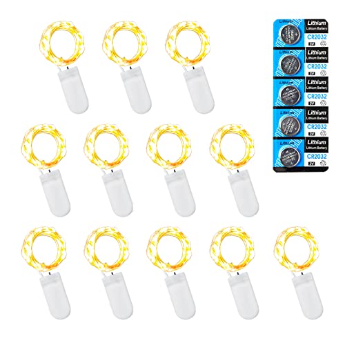 Etinga 12 Pack Warm White Fairy Lights, 10 Large...