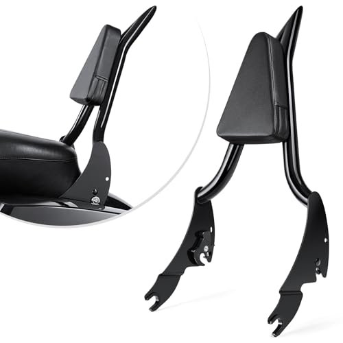 Amazicha Integrated Passenger Sissy Bar