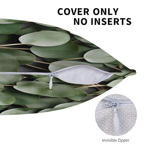 Housse de coussin eucalyptus lavable pour rénover le canapé