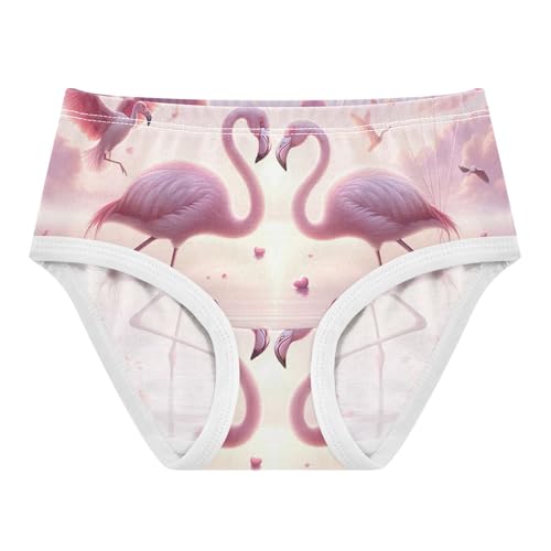 Flamingos Undies for Toddler Girls, Girls Panties, 2T–8 Years