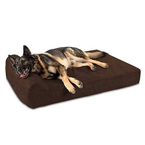 50 Tough Dog Beds of 2020 (Most Heavy Duty or Don't Go Flat)