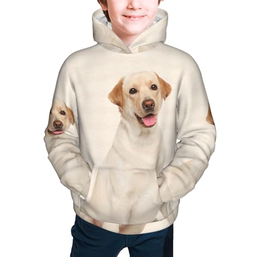 Labrador Dog Boy, Girls Sports Shirt Youth Pullover Fashion Hooded