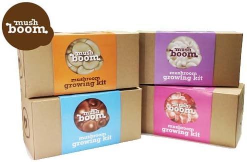 Mushroom Growing Kits: Oyster, Pink Oyster, Phoenix and Abalone Mushroom (Pack of 4 Boxes)