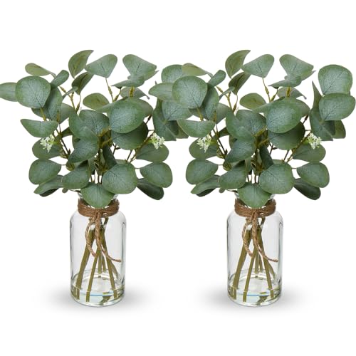 Briful Artificial Eucalyptus Stems in Glass Vase with Faux Water,