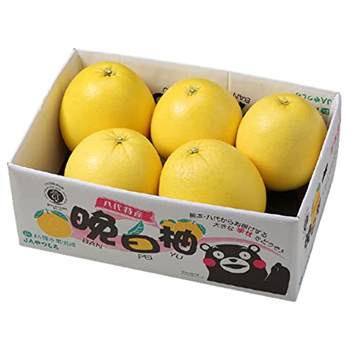 Ε ݂ ӔM ΂؂ 󂠂 2LTCY T 10kg F{Y ~J  Mtg 