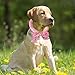 GRABAGECAN Dog Cooling Collar Bandanas for Summertime Relief for Hot Season Pet Collar Dog Down Cool Collar