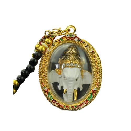 [Zopita] ^Ĉy_gCh̏K^Kł ()