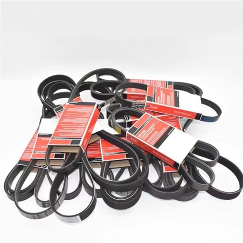 Courroie de distribution pour Ford Focus 2012 moteur 1.6 essence - 4