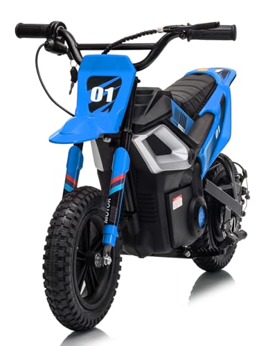 Electric Dirt Bike for Kids 10-12 Years, 350W Motor 14MPH Off-Road Motorcycle, 12