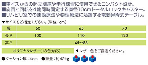 電動ストレッチャー】 電動PTカイザー 幅65 長120 高45～83 ライトブルー A001-1232/TB-106 【ポータブルレスキューバスケットストレッチャーリフティングブライド】