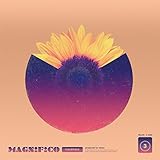 magnifico sinonimo treccani  Magnifico