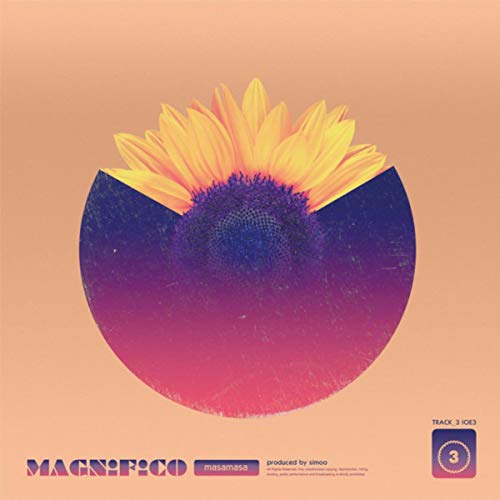  Magnifico