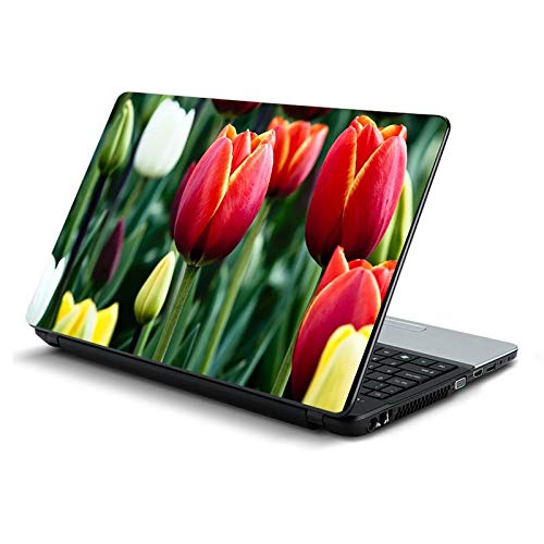 Amazon.in: Buy ClubSquad Design Laptop Skin Laptop Sticker Laptop Skin ...