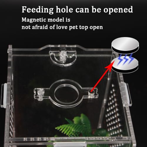 Jumping Spider Enclosure,8x4x4 Inch Reptile Feeding Box,Micro Transparent Habitat Tarantulas Cage Jumping Spider Enclosure for Small Reptile Insect Office Home - Image 5