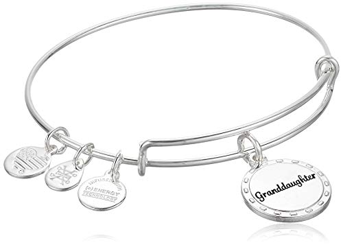 Alex and Ani Because I Love You Granddaughter Expandable Wire Bangle Bracelet for Women, by Your Side Charm, Shiny Antique Silver Finish, 2 to 3.5 in