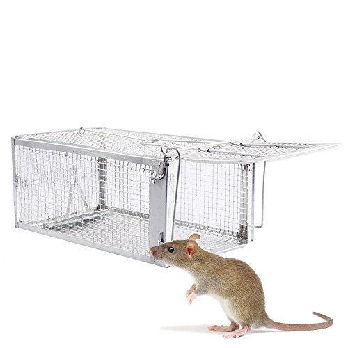 Fasmov Humane Live Small Animal Trap Cage, Hamsters, Moles, Weasels, Gophers, and Other