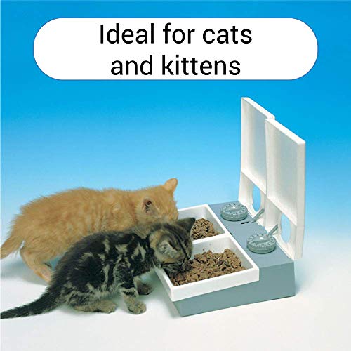 Best Wet Cat Food Dispenser in 2021 (with Reviews!)