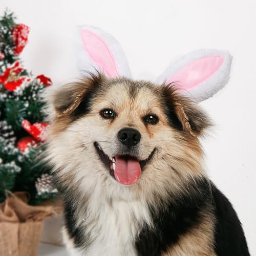 Diadema para perro con orejas de conejo grandes miniatura 5