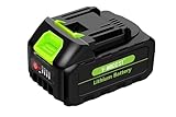 V-MODEST Lithium Battery 4.0Ah 21V Suitable for 6inch/8inch Mini Chainsaw Pole Saw Pruning Shears Pole Pruning Shears
