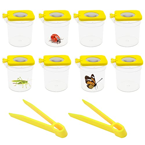 6 Piezas Caja de Insectos de Aumento con 2 Piezas Pinzas Caja de Observación ​con Lupa Kit de recolección de Insectos para niños Juego de Explorador para niños Exploración de Naturaleza