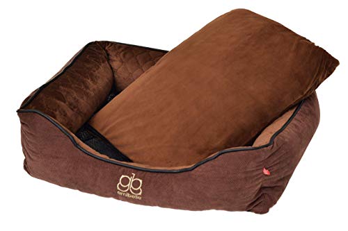 BOUTIQUE ZOO Premium Orthopädisches Hundebett | Größe M: 60 x 50 x 19 cm | Bett für Hunde oder Katzen | Hundesofa, Hundekissen, Hundeliege | abwaschbar Hundekorb | Thermo Isolierung | Farbe: Braun