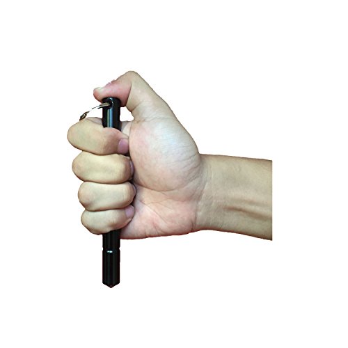 Reviews y listado de Defensa eléctrica los diez mejores. 2 Imagen adicional