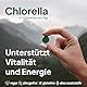 Chlorella aus 100% biologischem Anbau - Chlorella-Algen-Tabletten hochdosiert & ohne Zusätze - Chlorellapresslinge vegan 250 g, 500 Tabletten