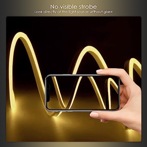 BKAZV Luci Striscia LED Neon 220v，2 Metri 120