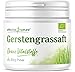 effective nature - Gerstengrassaft Pulver Bio - Rohkost - Reich an Eisen, Zink und Folsäure - Hochwertige Bio-Qualität aus den USA, 200 g
